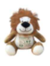 Lion Personalised Soft Toy / Pyjama Case