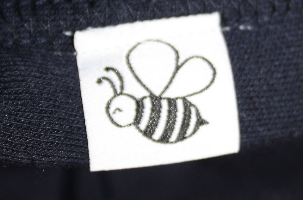 Why bees?