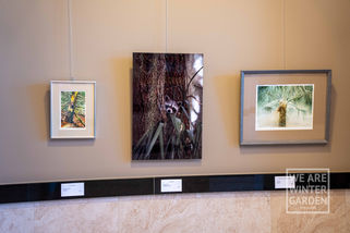 downtown-winter-garden-city-hall-artwork