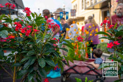 Spring Fever in the Garden 2022-27.jpg