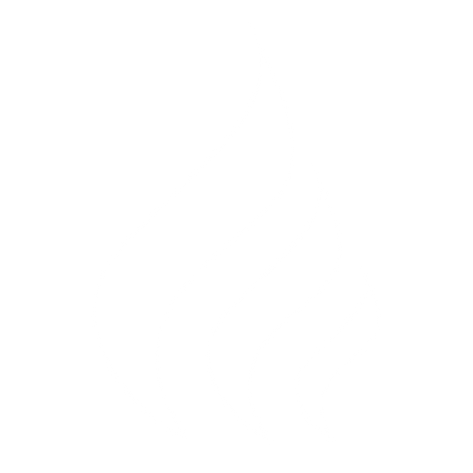 PHCA-Flame.png