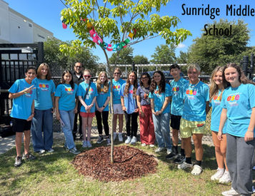 sunridge16.JPG
