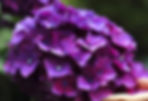 Screenshot 2025-03-21 at 10.38_edited.jpg