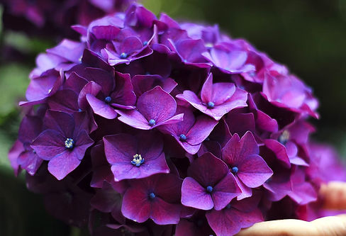 Screenshot 2025-03-21 at 10.38_edited.jpg