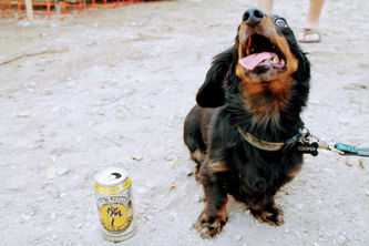 oktoberfest-crooked-can-we-are-winter-garden