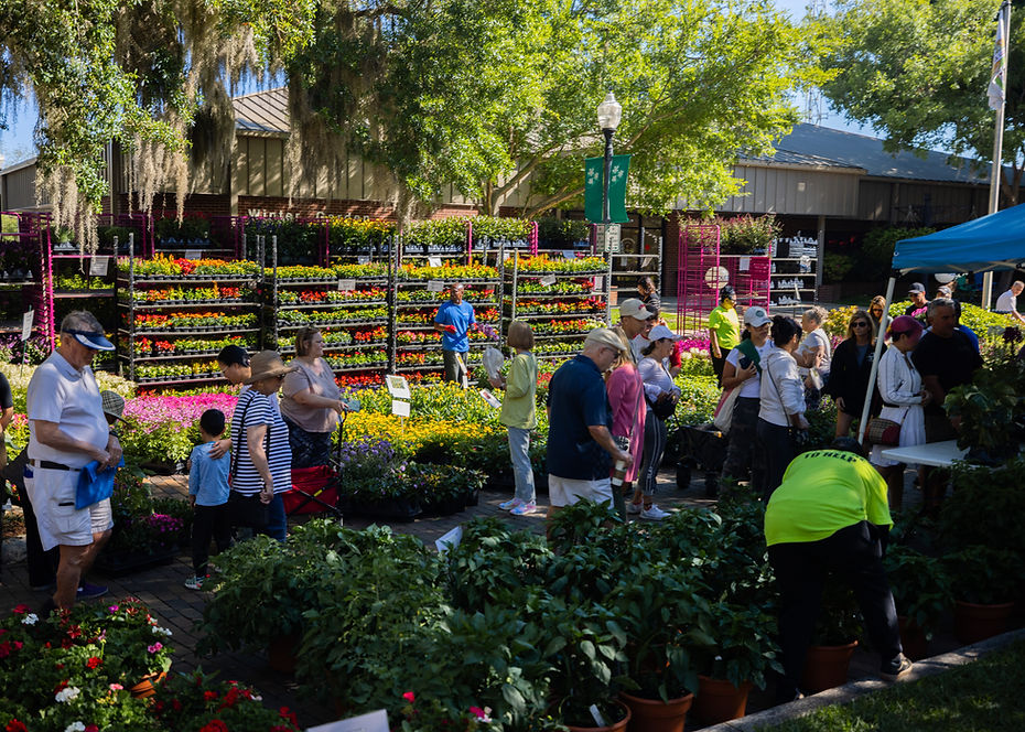 Spring Fever-172.jpg