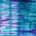 20180206_161231_edited.jpg