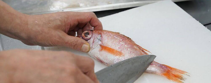 DSC01162 (1) (1).jpg