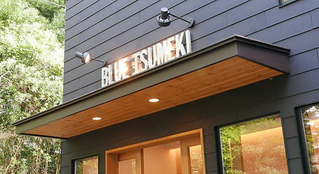 bd5cff_0b4ab8be4f9c4e4889965144f1865064~mv2 (1).jpg