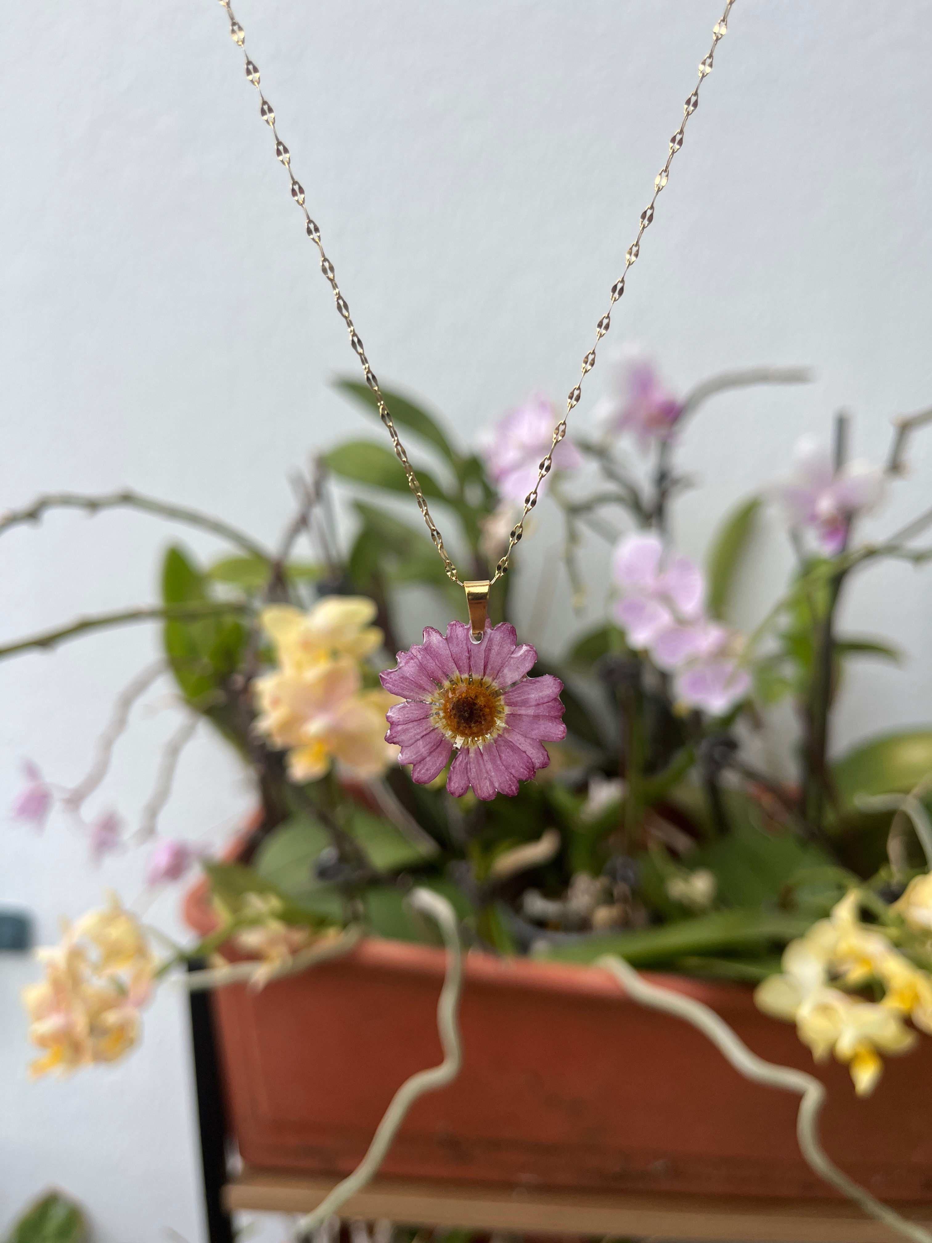 Collier Anthémis
