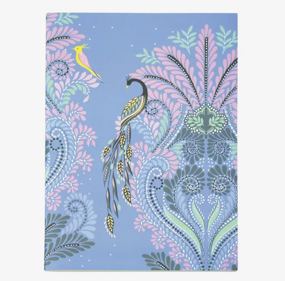 Miniatura: Sara Miller Note Books Pair