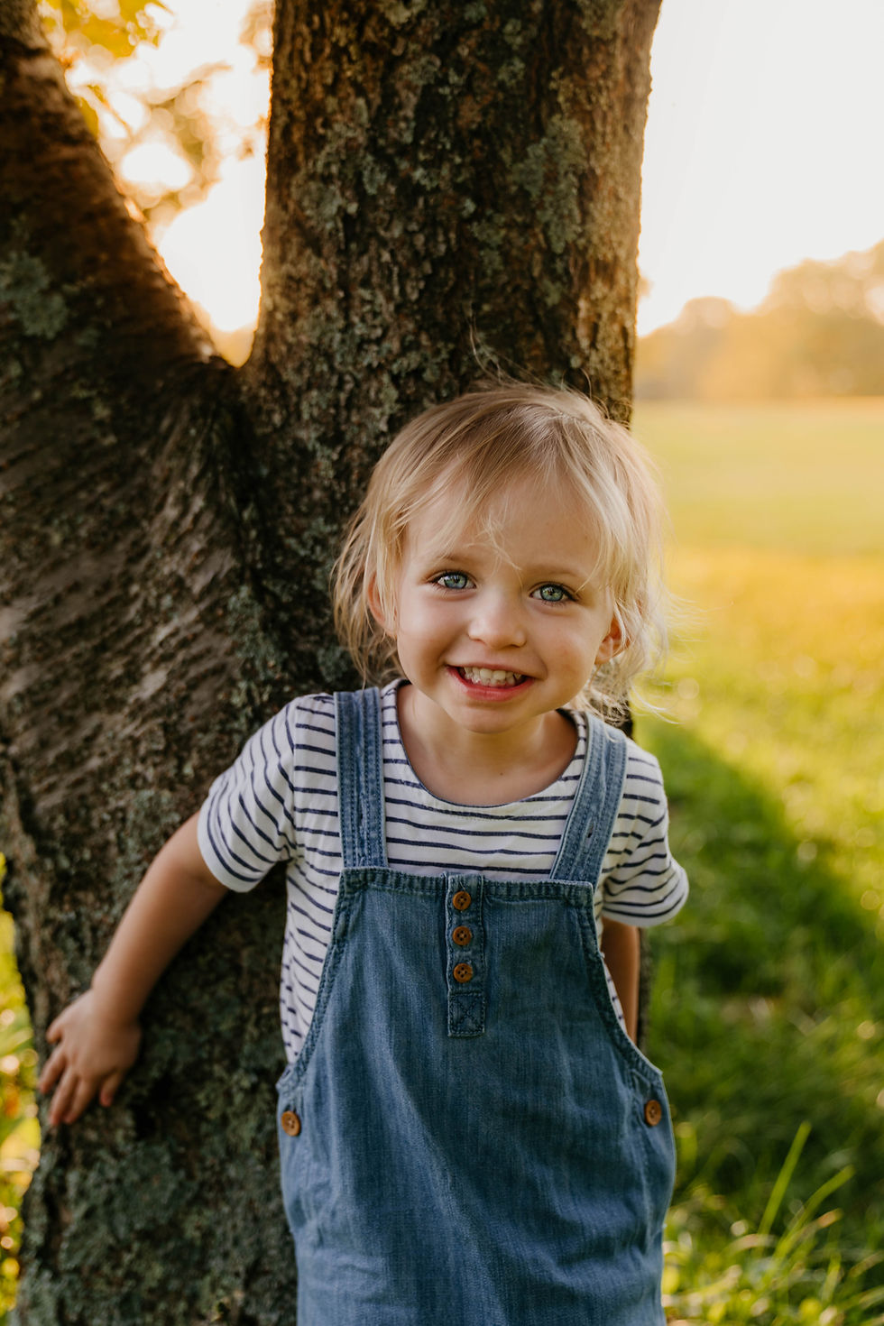 Two year old girl wearing striped shirt and blue overalls stands in front of a tree trunk at sunset and smiles at the camera in Cincinnati, Ohio.
