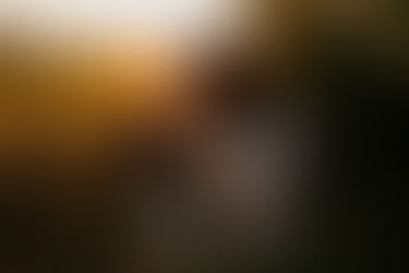 Emily + Dakota: Golden Hour Portraits in Northern Kentucky