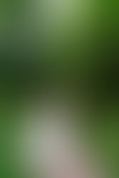 Hannah + Luke: The Grand Ballroom Wedding Day