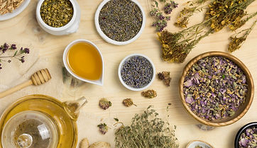 Tierheilpraxis Vivienne Portmann_Phytotherapie