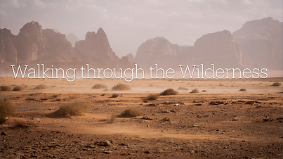 Wilderness pic.001.png
