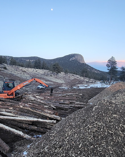 Lone Rock - Logs & Grindings.jpg