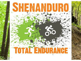 Shenanduro Time!