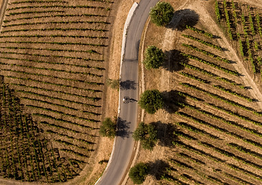 Ordenamento do Território