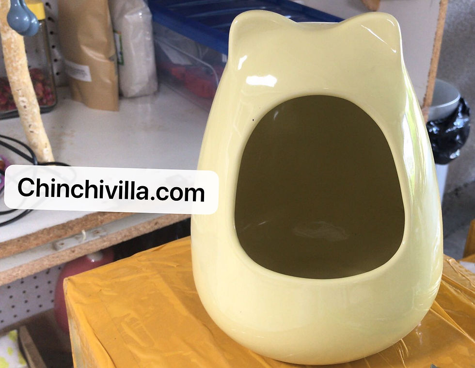 Thumbnail: Chinchilla Ceramic House
