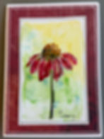 Hand-painted watercolor cornflower greeting card with multicolored background