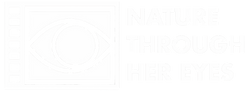 nthe-logo-white-scaled.png