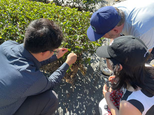 【王寶山茶伴遊】深度小旅行活動