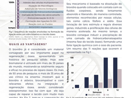 O que são BIOVIDROS?