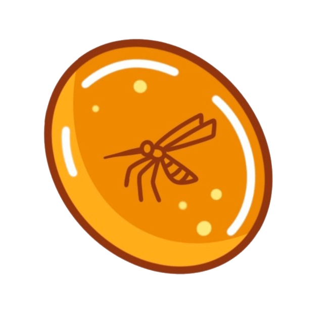 Amber Bugs | Shop Amber With Insects