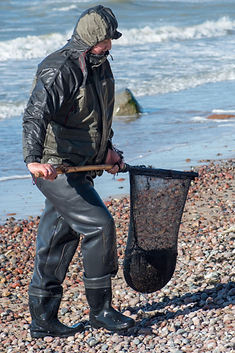 Fishing for Amber