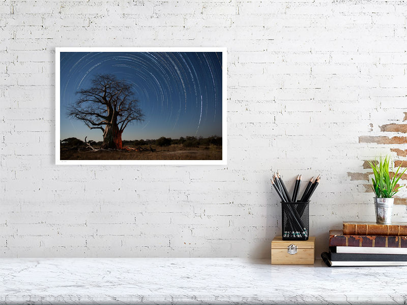 Thumbnail: Baobab StarTrail