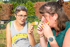 Fluitje van een cent