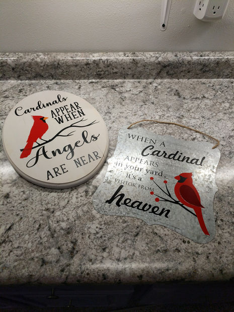 IMG_20200228_151110 (1).jpg