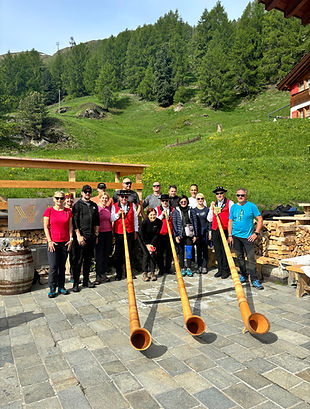 Ricola Alpenhorn