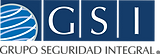 GSI.png