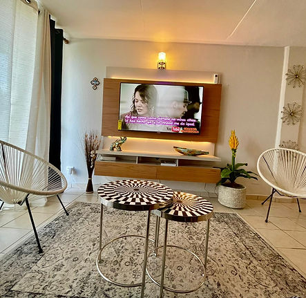 jardin sereno tv2.jpg