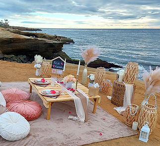 Picnic sd.jpg