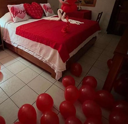 decor hab 2.jpg