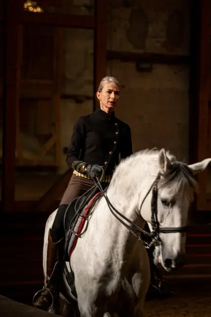 spectacle équestre au écurie royal de Versailles