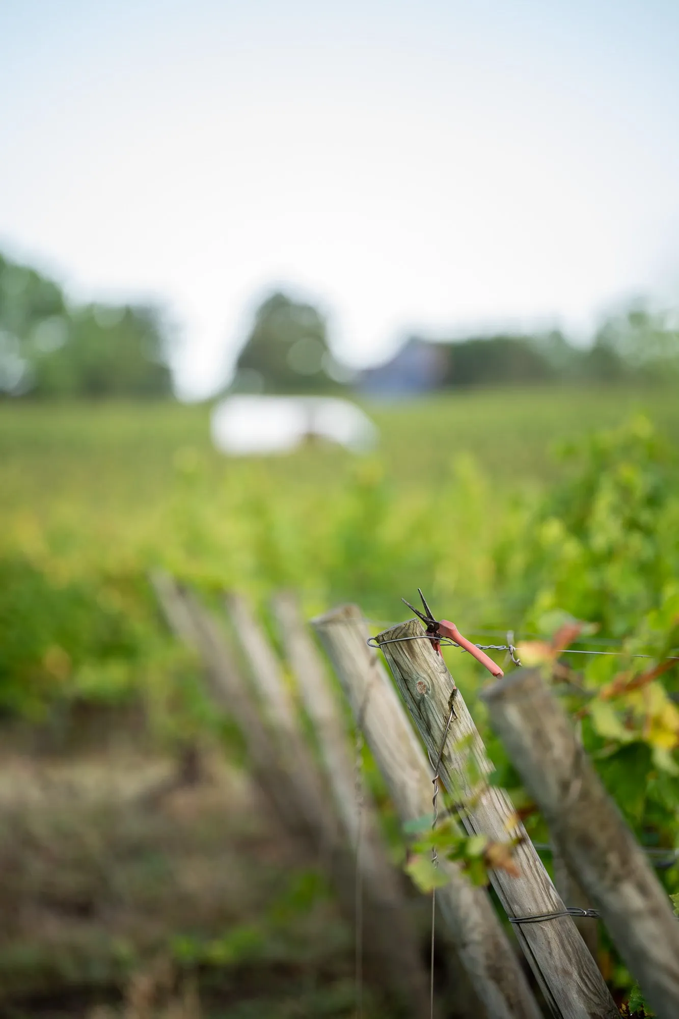 La pause même pour le sécateur