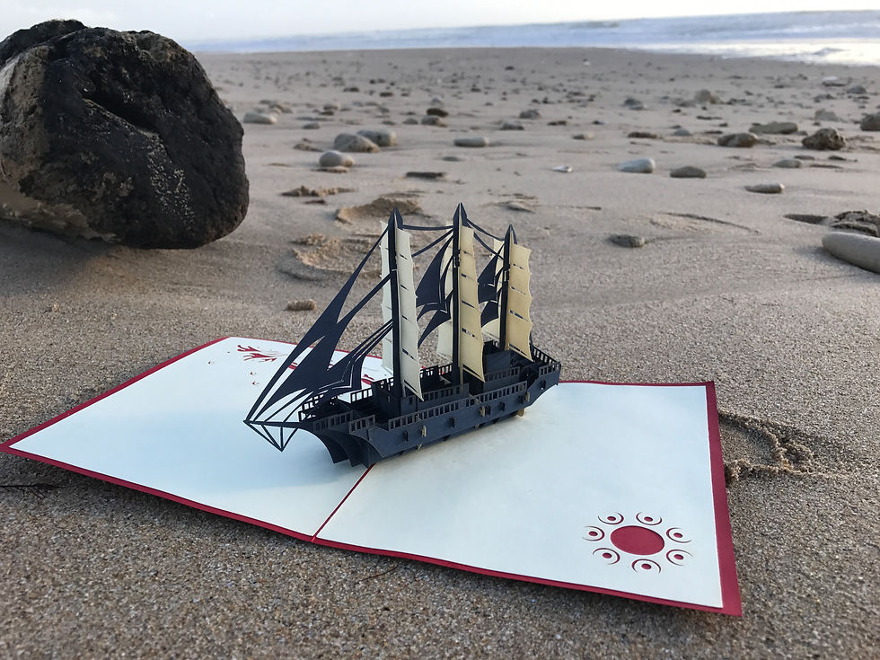 KIMMY-RÉ ! Ile de RÉ, Le-Bois-Plage.