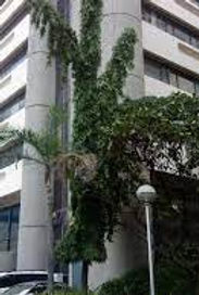 Commercial Building