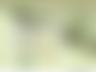 From Here to There – Why Great CS Starts With the Right Map, Not Just Movement (part 1)