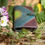Thumbnail: Forest Green | Handmade wallet | Handstitched | Beara Belts