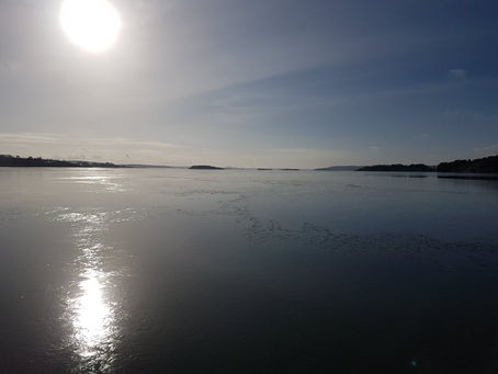 Närvaro