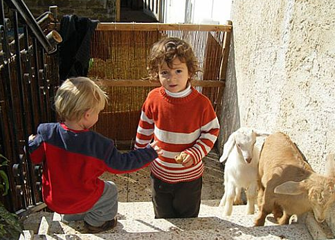 פורטל יפו 2011