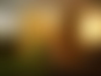 Histoire du cours particulier