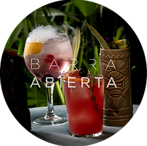 logo barra_Mesa de trabajo 1 copia.png