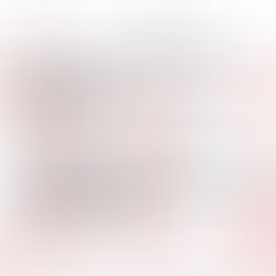 UEnter'da developpp.de dasturi bo‘yicha konsultativ seminar