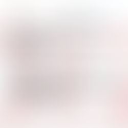 Advisory seminar on the develoPPPP.de Program at UEnter